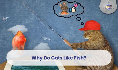 Why Cats Like Fish .